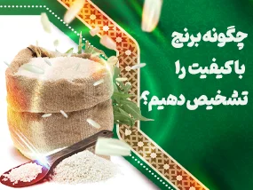 روش‌های تشخیص برنج مرغوب ایرانی چیست و چطور کیفیت برنج را بسنجیم؟