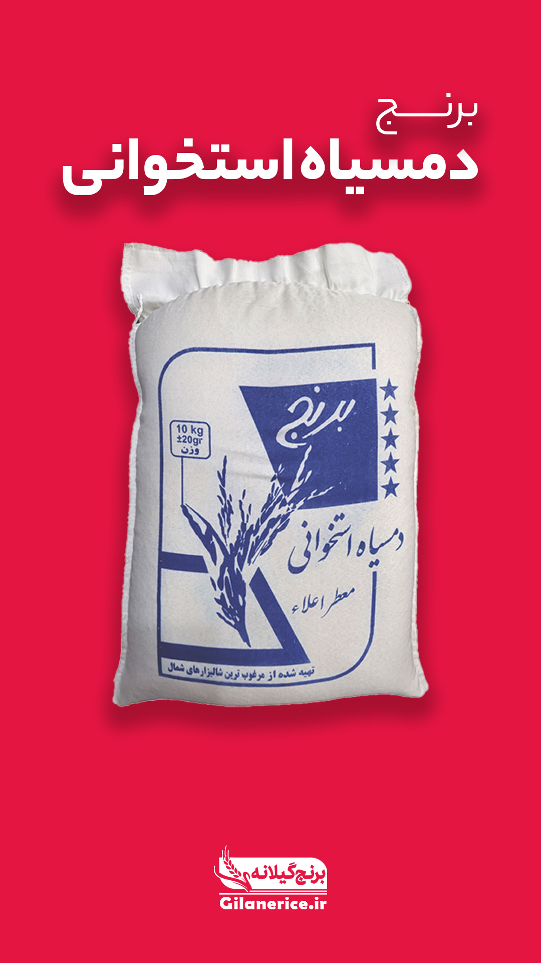 برنج دمسیاه استخوانی