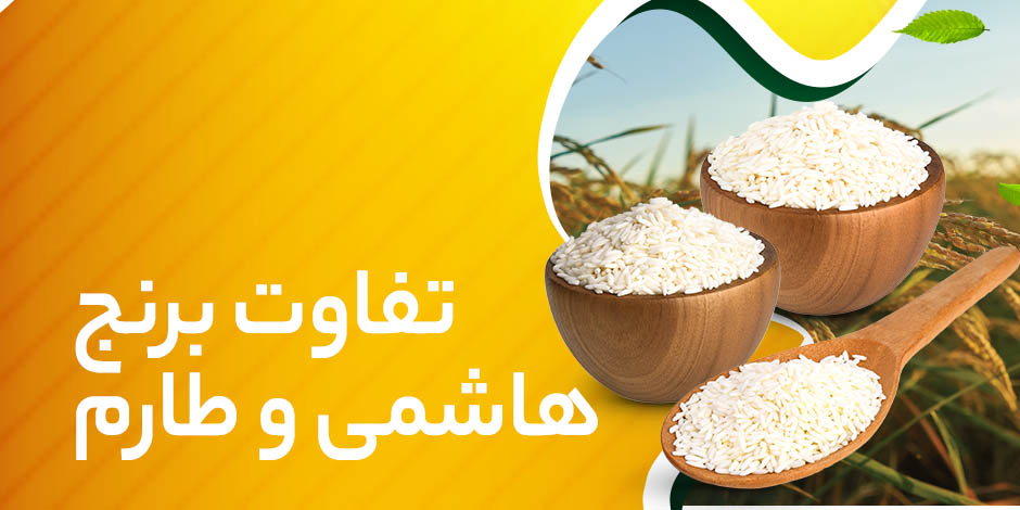 تفاوت برنج هاشمی و طارم: راهنمای جامع انتخاب + جدول مقایسه
